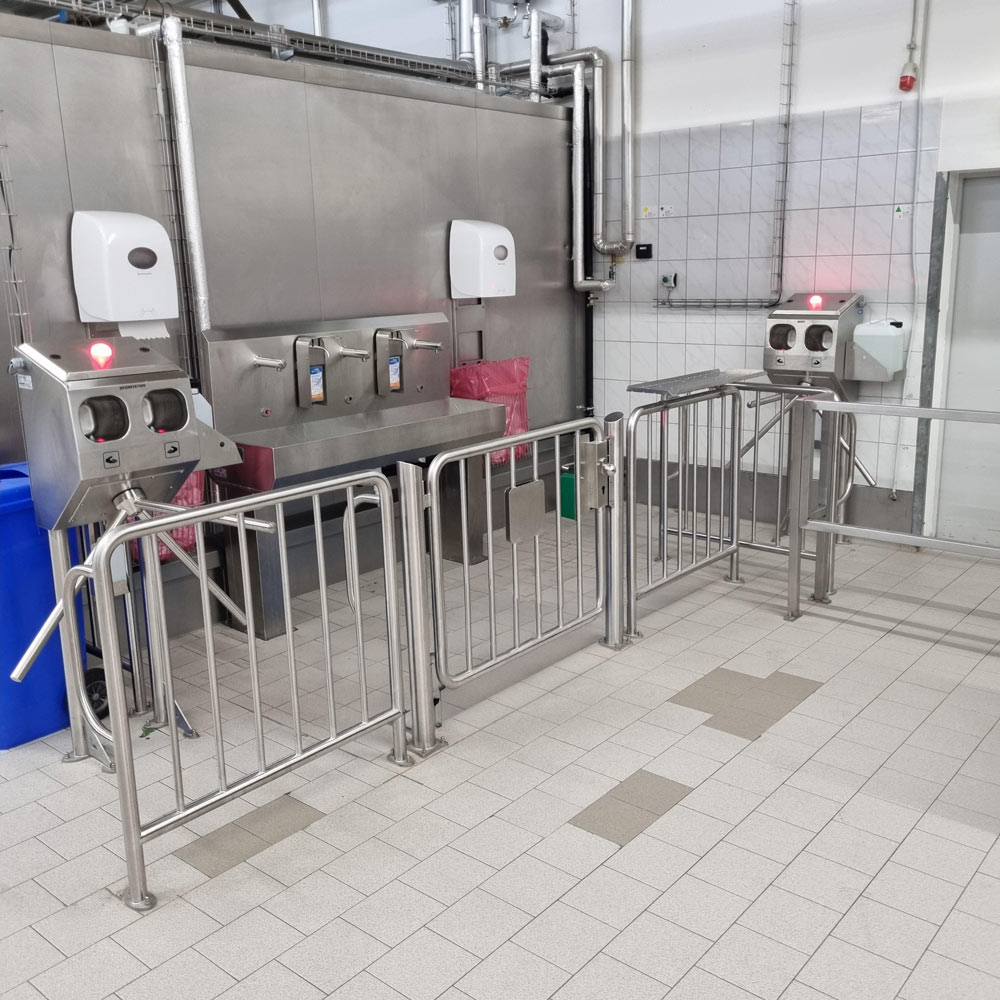 Portail en acier inoxydable avec montants verticaux - Image 2